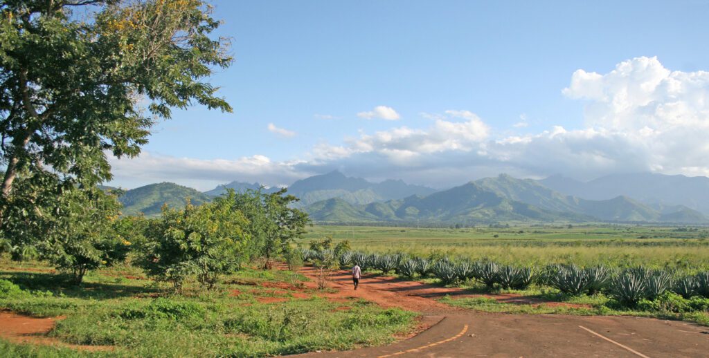 Mt Uluguru