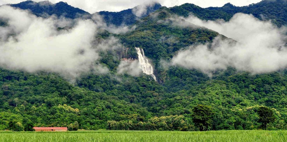 Udzungwa-Mountains-National-Park-ssss