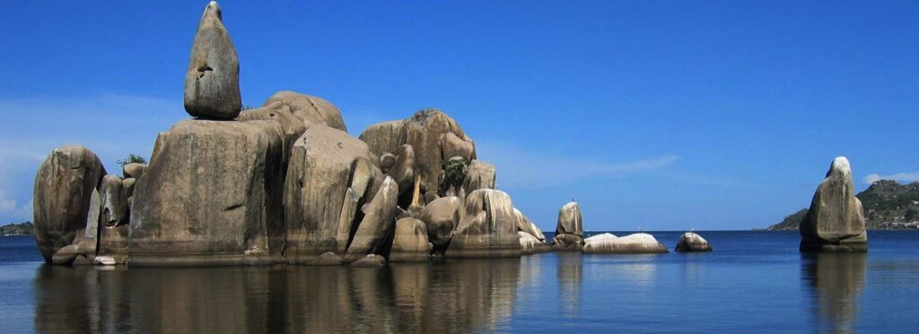 saa-nane-national-park-banner